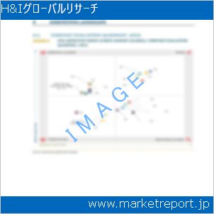 市場と産業調査レポートのイメージ